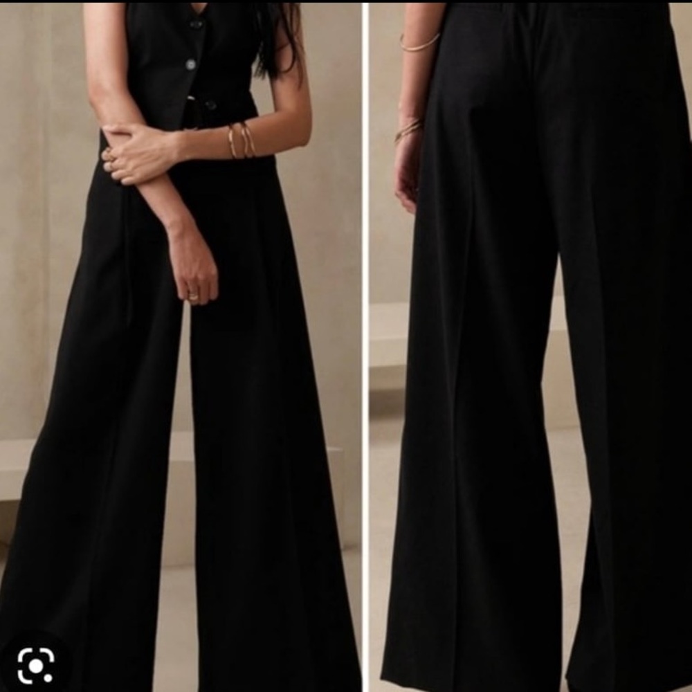 Banana Republic Lou Lou Wide Leg Pleated Black Flann Pants size 12P